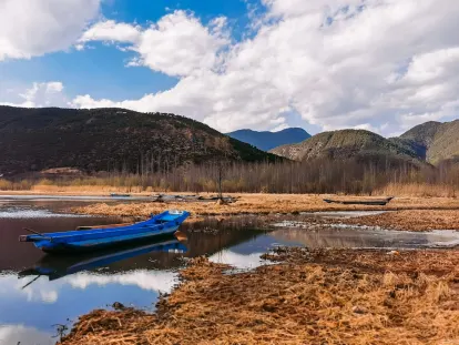 BigWins Kazino Mobilā lietotne